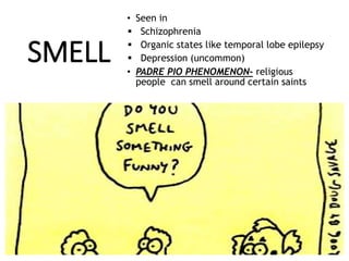 Stinky Visual Disorders of perception | PPTX