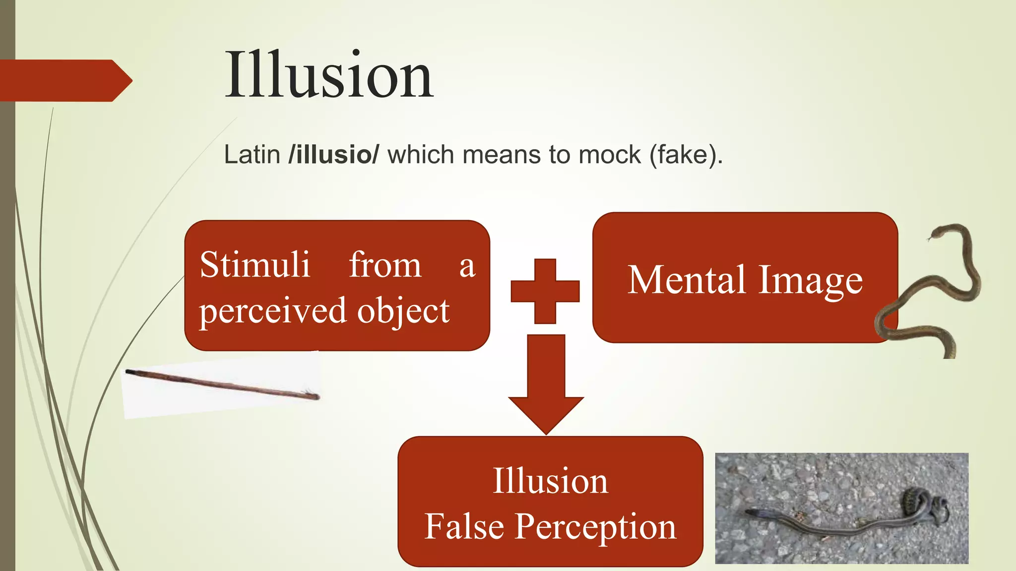 Illusion
Latin /illusio/ which means to mock (fake).
Stimuli from a
perceived object
Mental Image
Illusion
False Perception
 