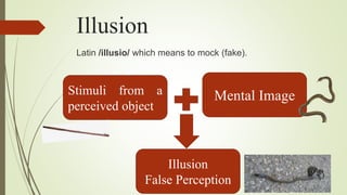 Latin Perception Disorders of perception | PPTX