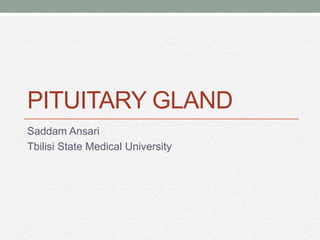 Pituitary gland Saddam Ansari Tbilisi State Medical University 