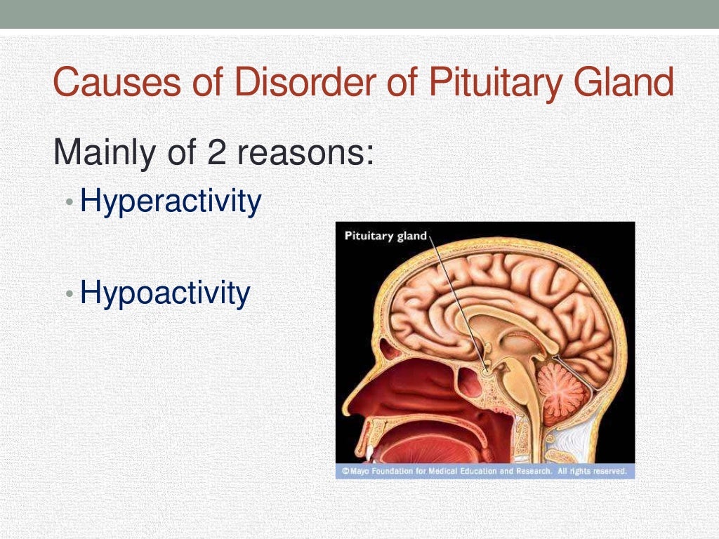 Neurologic Disorders Of The Pituitary And Hypothalamus Diseases Of My