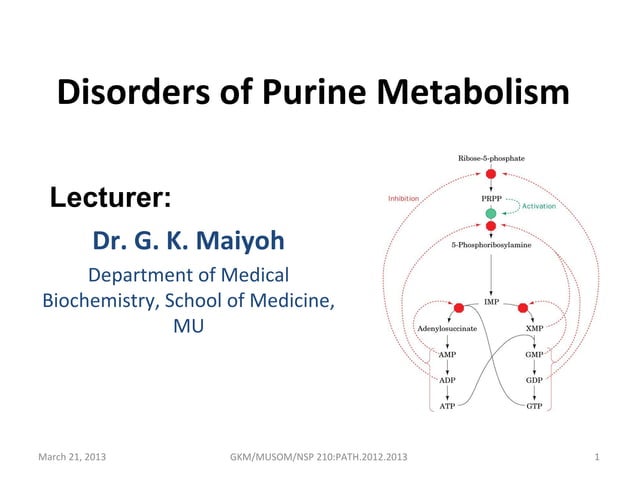 Disorders of purine metabolism | PPT | Endocrine and Metabolic Diseases ...