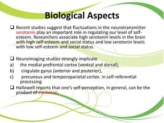 Biological Aspects
 Recent studies suggest that fluctuations in the neurotransmitter
serotonin play an important role in regulating our level of self-
esteem. Researchers associate high serotonin levels in the brain
with high self-esteem and social status and low serotonin levels
with low self-esteem and social status.
 Neuroimaging studies strongly implicate
a) the medial prefrontal cortex (ventral and dorsal),
b) cingulate gyrus (anterior and posterior),
c) precuneus and temporoparietal cortex in self-referential
processing
 Hallowell reports that one’s self-perception, in general, can be the
product of evolution.
 