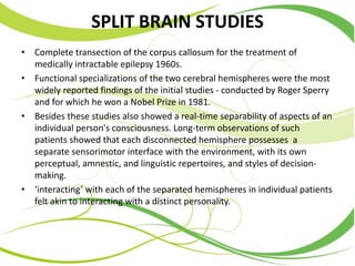 SPLIT BRAIN STUDIES
• Complete transection of the corpus callosum for the treatment of
medically intractable epilepsy 1960s.
• Functional specializations of the two cerebral hemispheres were the most
widely reported findings of the initial studies - conducted by Roger Sperry
and for which he won a Nobel Prize in 1981.
• Besides these studies also showed a real-time separability of aspects of an
individual person's consciousness. Long-term observations of such
patients showed that each disconnected hemisphere possesses a
separate sensorimotor interface with the environment, with its own
perceptual, amnestic, and linguistic repertoires, and styles of decision-
making.
• ‘interacting’ with each of the separated hemispheres in individual patients
felt akin to interacting with a distinct personality.
 