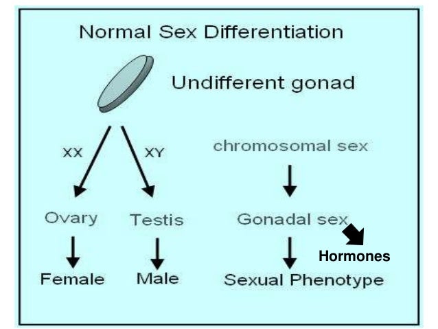 Disorders Of Sex Development