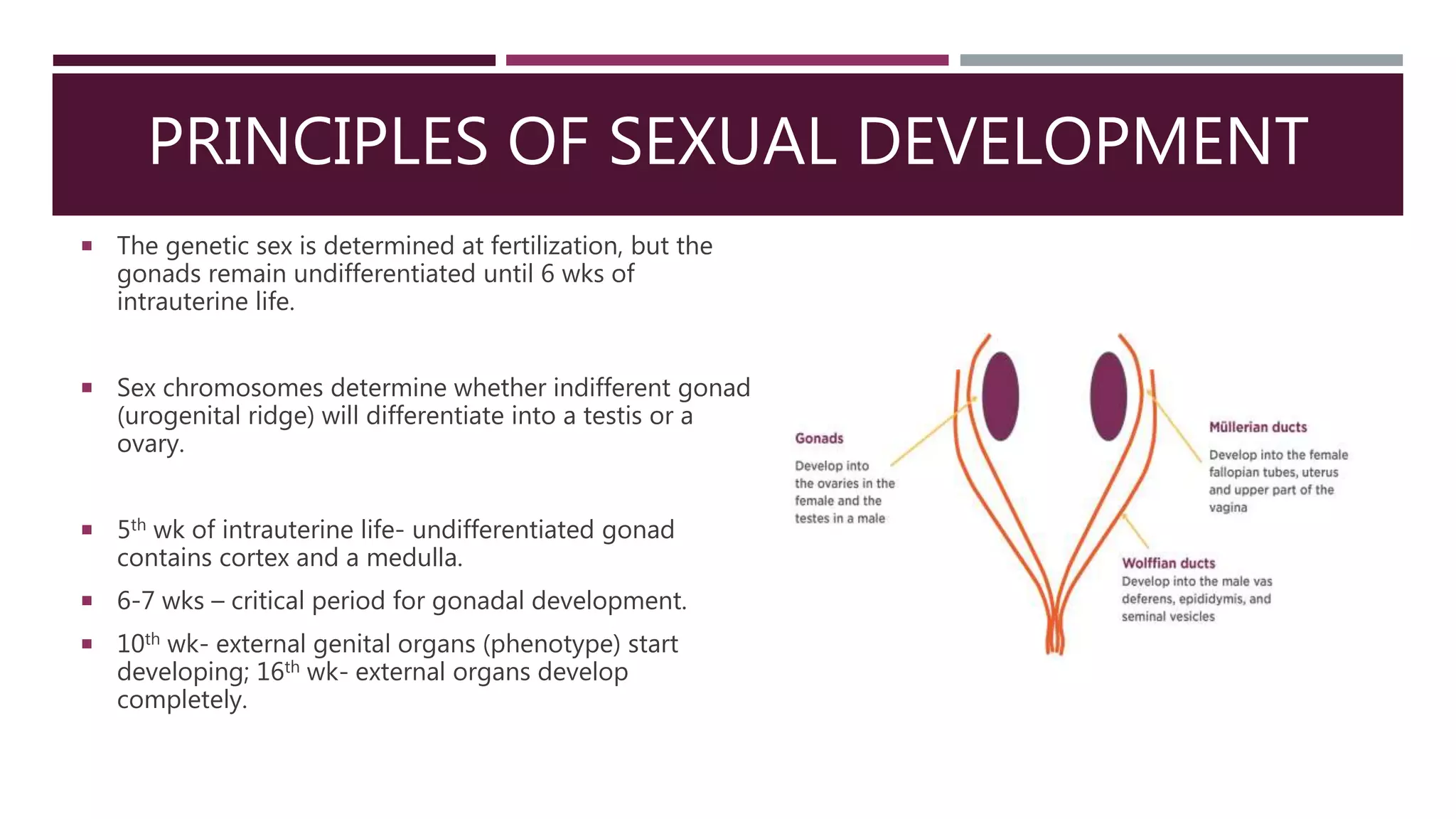 Disorders of sexual development | PPTX