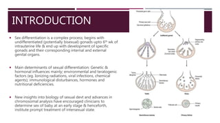 Disorders of sexual development | PPTX