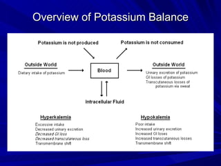 Potassium Rework Showcase Disorders of sodium and potassium metabolism | PPT