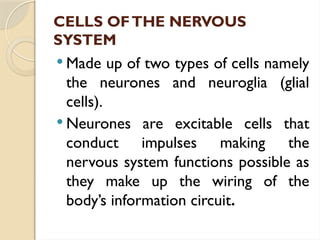 CELLS OFTHE NERVOUS
SYSTEM
 Made up of two types of cells namely
the neurones and neuroglia (glial
cells).
 Neurones are excitable cells that
conduct impulses making the
nervous system functions possible as
they make up the wiring of the
body’s information circuit.
 