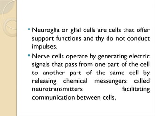  Neuroglia or glial cells are cells that offer
support functions and thy do not conduct
impulses.
 Nerve cells operate by generating electric
signals that pass from one part of the cell
to another part of the same cell by
releasing chemical messengers called
neurotransmitters facilitating
communication between cells.
 