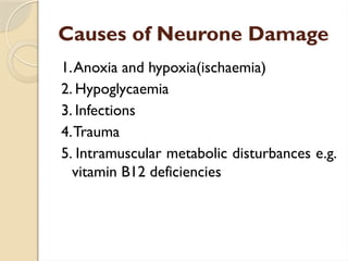 Causes of Neurone Damage
1.Anoxia and hypoxia(ischaemia)
2. Hypoglycaemia
3. Infections
4.Trauma
5. Intramuscular metabolic disturbances e.g.
vitamin B12 deficiencies
 