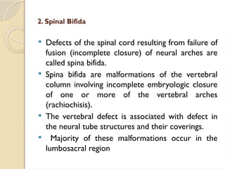 2. Spinal Bifida
 Defects of the spinal cord resulting from failure of
fusion (incomplete closure) of neural arches are
called spina bifida.
 Spina bifida are malformations of the vertebral
column involving incomplete embryologic closure
of one or more of the vertebral arches
(rachiochisis).
 The vertebral defect is associated with defect in
the neural tube structures and their coverings.
 Majority of these malformations occur in the
lumbosacral region
 