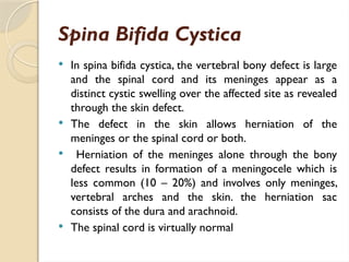 Spina Bifida Cystica
 In spina bifida cystica, the vertebral bony defect is large
and the spinal cord and its meninges appear as a
distinct cystic swelling over the affected site as revealed
through the skin defect.
 The defect in the skin allows herniation of the
meninges or the spinal cord or both.
 Herniation of the meninges alone through the bony
defect results in formation of a meningocele which is
less common (10 – 20%) and involves only meninges,
vertebral arches and the skin. the herniation sac
consists of the dura and arachnoid.
 The spinal cord is virtually normal
 