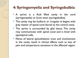 4: Syringomyelia and Syringobulbia
 A syrinx is a fluid filled cavity in the cord
(syringomyelia) or brain stem (syringobulbia).
 The cavity may be fusiform or irregular. It begins with
grey matter of spinal cord dorsal to the central canal.
 The syrinx is surrounded by glial tissue. The cavity
may communicate with spinal canal and is lined with
ependymal cells.
 Fibres of lateral spinothalamic tract and involvement
in the cavity result in clinical effects such as loss of
pain and temperature sensation in the affected region
 