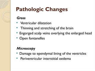 Pathologic Changes
Gross
 Ventricular dilatation
 Thinning and stretching of the brain
 Engorged scalp veins overlying the enlarged head
 Open fontanelles
Microscopy
 Damage to ependymal lining of the ventricles
 Periventricular interstitial oedema
 