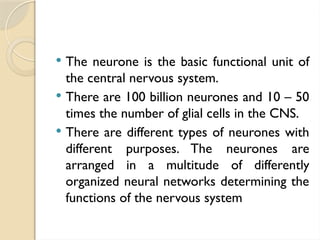  The neurone is the basic functional unit of
the central nervous system.
 There are 100 billion neurones and 10 – 50
times the number of glial cells in the CNS.
 There are different types of neurones with
different purposes. The neurones are
arranged in a multitude of differently
organized neural networks determining the
functions of the nervous system
 