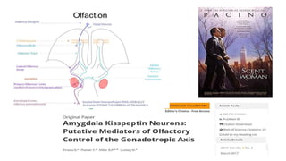 Disorders of the male urogenital system Slide 15