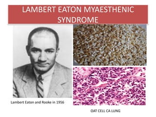 Lambert Muscle Disorders of the Neuromuscular junction | PPTX