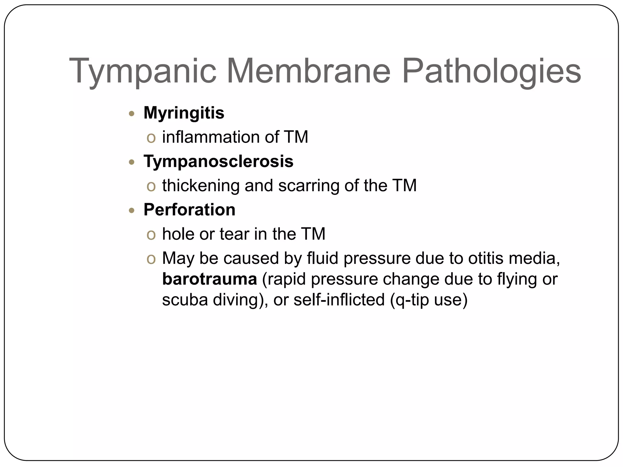 Tympanic Membrane Pathologies
 Myringitis
o inflammation of TM
 Tympanosclerosis
o thickening and scarring of the TM
 Perforation
o hole or tear in the TM
o May be caused by fluid pressure due to otitis media,
barotrauma (rapid pressure change due to flying or
scuba diving), or self-inflicted (q-tip use)
 