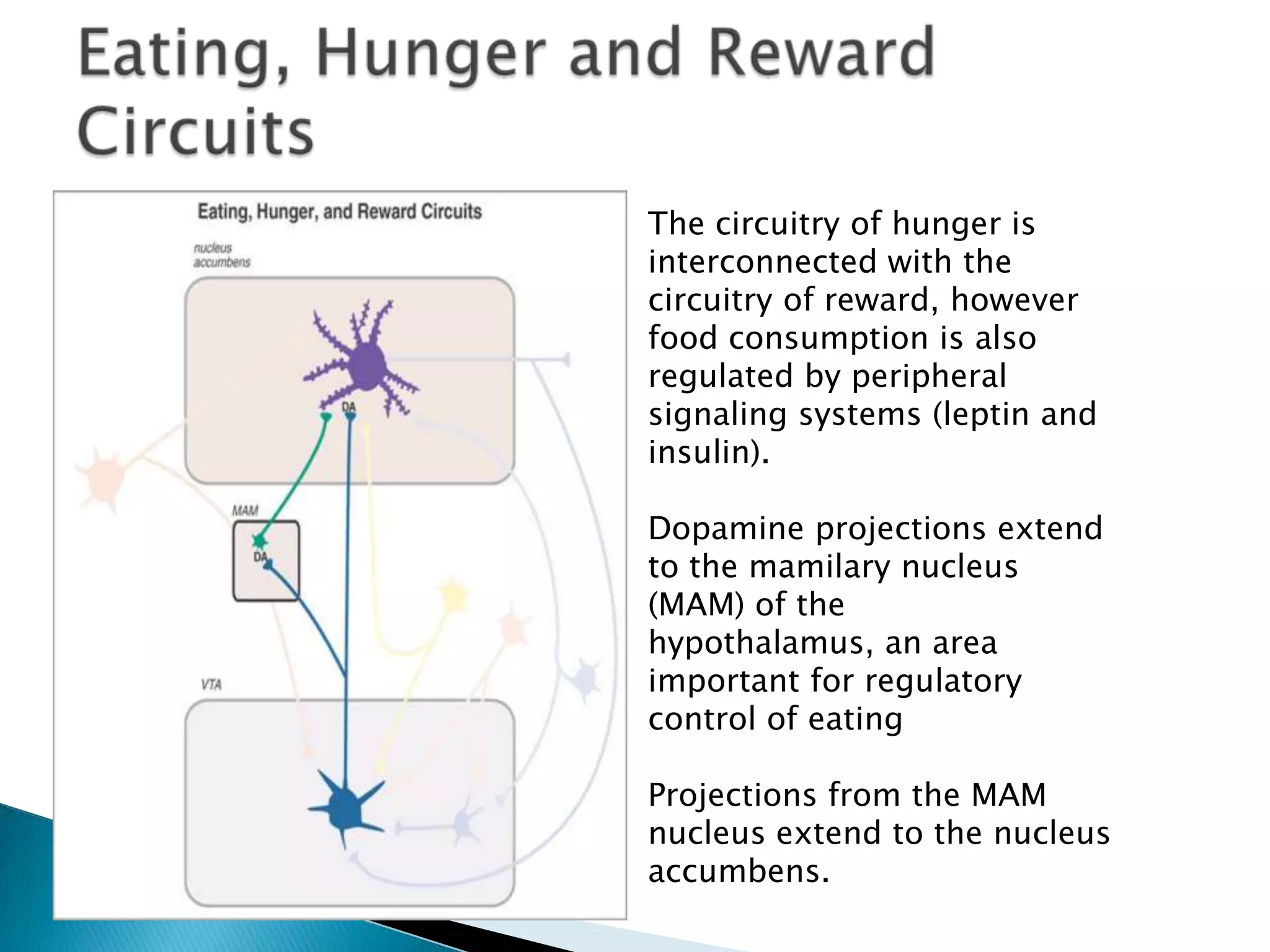 Disorders of the reward system | PPT