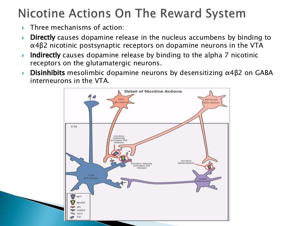 Disorders of the reward system