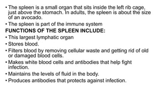 disorders of the spleen-paula.pdf