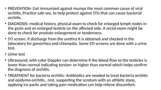 DISORDERS OF THE TESTES AND SCROTum.pptx