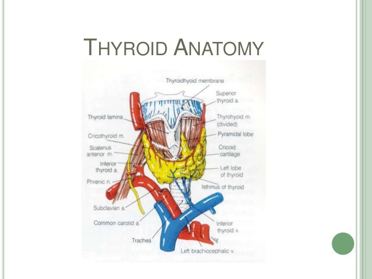 Traumatic brain injury hesi case study image