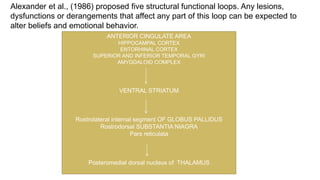 Alexander et al., (1986) proposed five structural functional loops. Any lesions,
dysfunctions or derangements that affect any part of this loop can be expected to
alter beliefs and emotional behavior.
ANTERIOR CINGULATE AREA
HIPPOCAMPAL CORTEX
ENTORHINAL CORTEX
SUPERIOR AND INFERIOR TEMPORAL GYRI
AMYGDALOID COMPLEX
VENTRAL STRIATUM
Rostrolateral internal segment OF GLOBUS PALLIDUS
Rostrodorsal SUBSTANTIA NIAGRA
Pars reticulata
Posteromedial dorsal nucleus of THALAMUS
 
