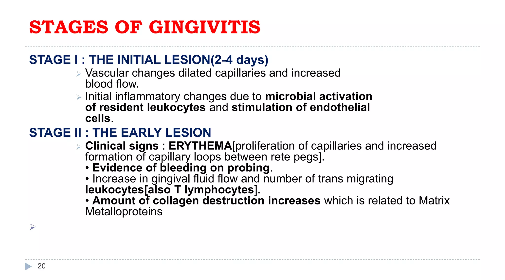 STAGES OF GINGIVITIS
20
STAGE I : THE INITIAL LESION(2-4 days)
 Vascular changes dilated capillaries and increased
blood flow.
 Initial inflammatory changes due to microbial activation
of resident leukocytes and stimulation of endothelial
cells.
STAGE II : THE EARLY LESION
 Clinical signs : ERYTHEMA[proliferation of capillaries and increased
formation of capillary loops between rete pegs].
• Evidence of bleeding on probing.
• Increase in gingival fluid flow and number of trans migrating
leukocytes[also T lymphocytes].
• Amount of collagen destruction increases which is related to Matrix
Metalloproteins

 