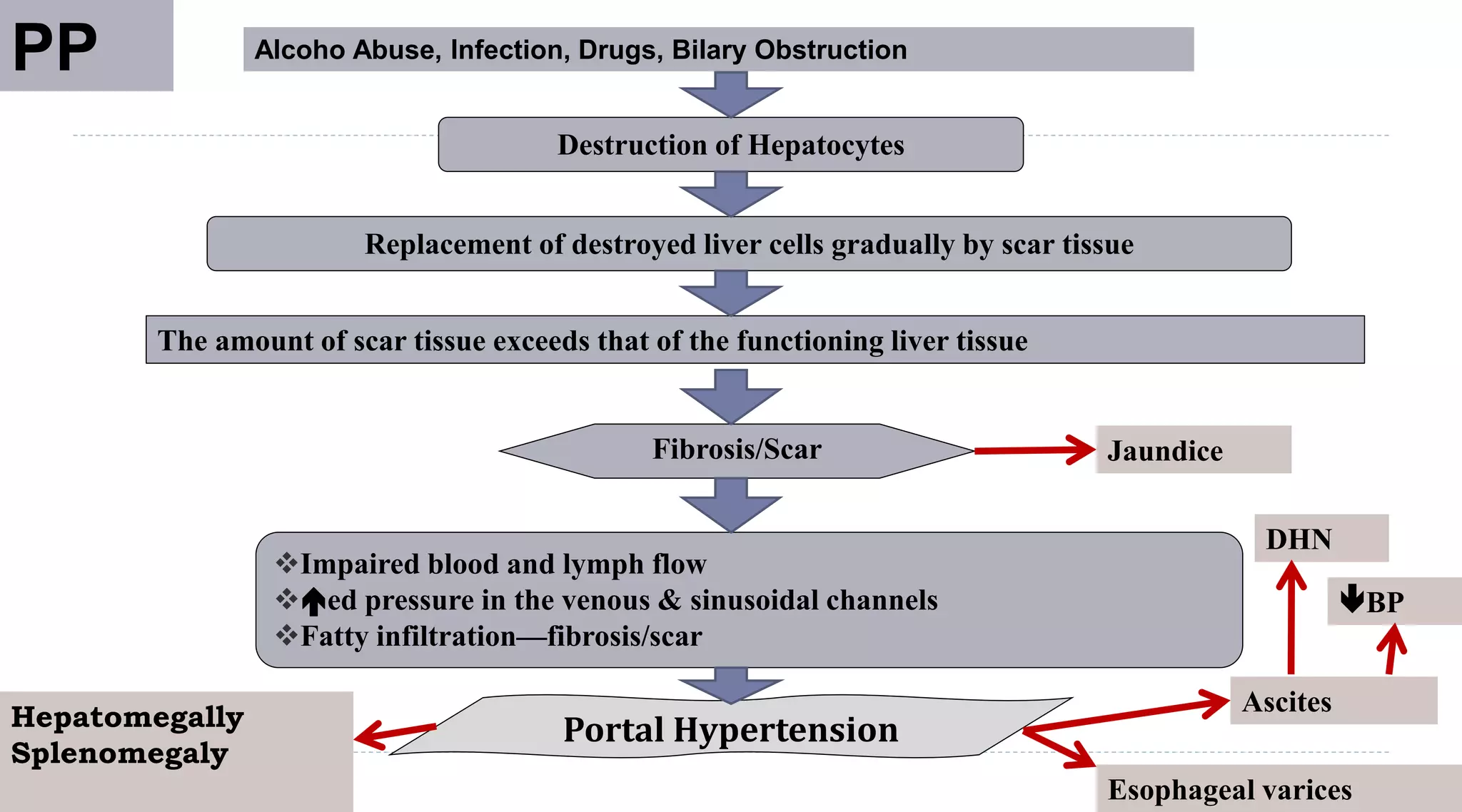 205
Alcoho Abuse, Infection, Drugs, Bilary Obstruction
Destruction of Hepatocytes
Replacement of destroyed liver cells gradually by scar tissue
The amount of scar tissue exceeds that of the functioning liver tissue
Fibrosis/Scar
Impaired blood and lymph flow
ed pressure in the venous & sinusoidal channels
Fatty infiltration—fibrosis/scar
Portal Hypertension
PP
Hepatomegally
Splenomegaly
Jaundice
Ascites
BP
Esophageal varices
DHN
 