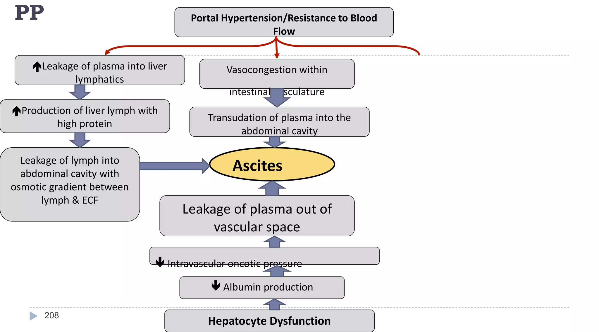 PP
208
Portal Hypertension/Resistance to Blood
Flow
Leakage of plasma into liver
lymphatics
Vasocongestion within
intestinal vasculature
Production of liver lymph with
high protein
Transudation of plasma into the
abdominal cavity
Leakage of lymph into
abdominal cavity with
osmotic gradient between
lymph & ECF
Ascites
Leakage of plasma out of
vascular space
 Intravascular oncotic pressure
 Albumin production
Hepatocyte Dysfunction
 