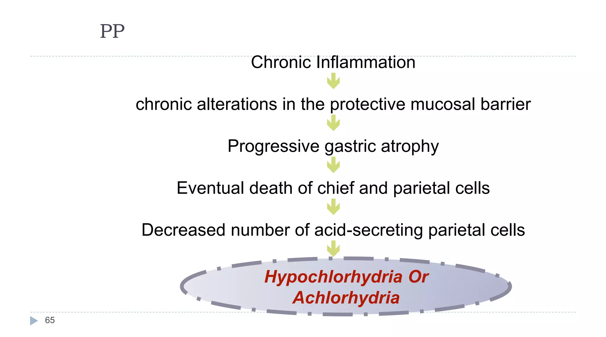 PP
65
Chronic Inflammation

chronic alterations in the protective mucosal barrier

Progressive gastric atrophy

Eventual death of chief and parietal cells

Decreased number of acid-secreting parietal cells

Hypochlorhydria Or
Achlorhydria
 