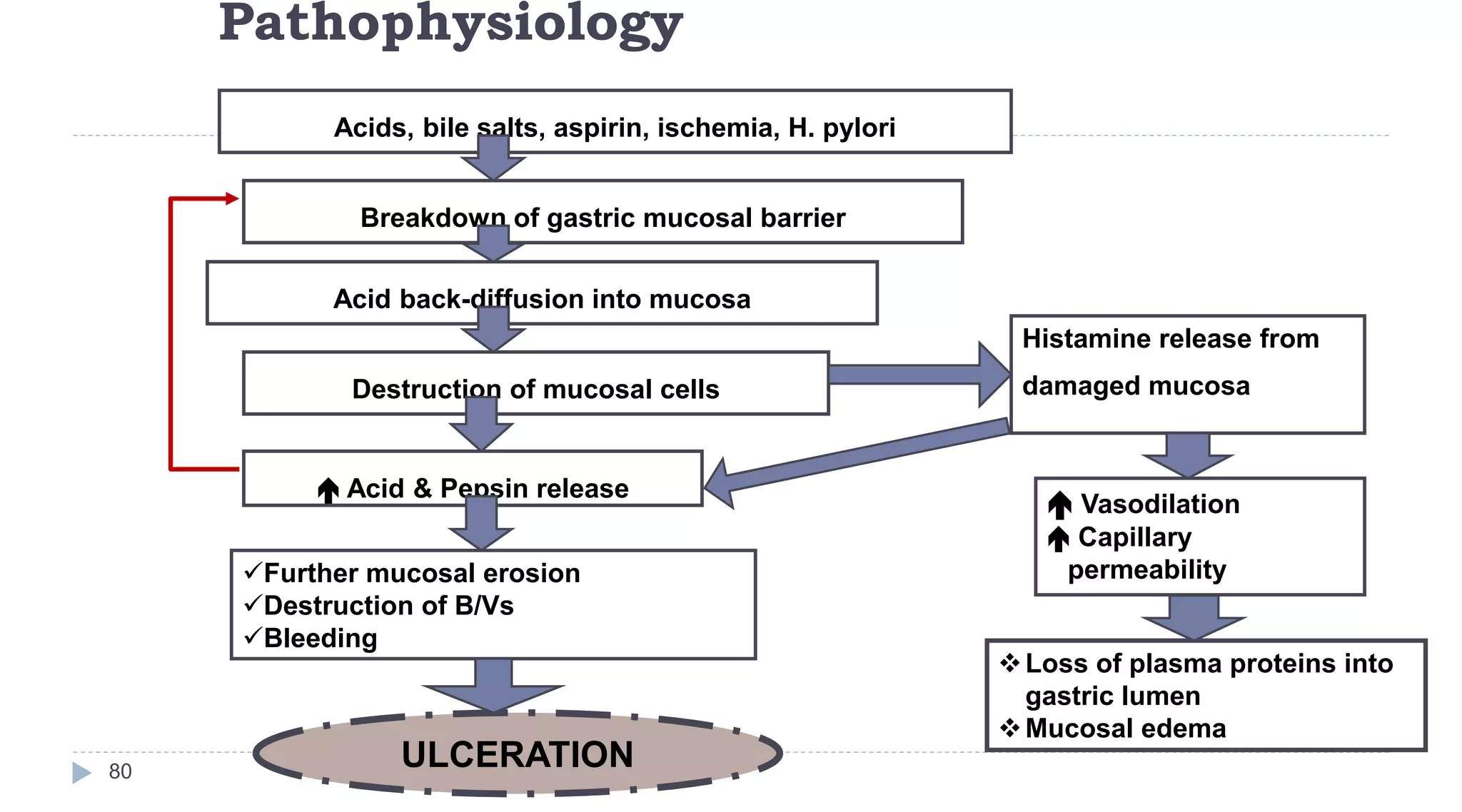 Pathophysiology
80
Acids, bile salts, aspirin, ischemia, H. pylori
Breakdown of gastric mucosal barrier
Acid back-diffusion into mucosa
Destruction of mucosal cells
 Acid & Pepsin release
Further mucosal erosion
Destruction of B/Vs
Bleeding
Histamine release from
damaged mucosa
 Vasodilation
 Capillary
permeability
Loss of plasma proteins into
gastric lumen
Mucosal edema
ULCERATION
 