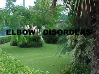 ELBOW DISORDERS
 
