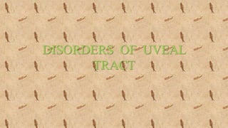 DISORDERS OF UVEAL
TRACT
 