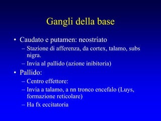 Gangli della base
• Caudato e putamen: neostriato
– Stazione di afferenza, da cortex, talamo, subs
nigra.
– Invia al pallido (azione inibitoria)
• Pallido:
– Centro effettore:
– Invia a talamo, a nn tronco encefalo (Luys,
formazione reticolare)
– Ha fx eccitatoria
 