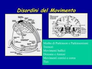 Disordini del Movimento
Morbo di Parkinson e Parkinsonismi
Tremori
Movimenti ballici
Distonie e Atetosi
Movimenti coreici e corea
Tics
 