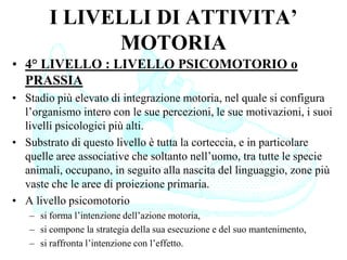 I LIVELLI DI ATTIVITA’
MOTORIA
• 4° LIVELLO : LIVELLO PSICOMOTORIO o
PRASSIA
• Stadio più elevato di integrazione motoria, nel quale si configura
l’organismo intero con le sue percezioni, le sue motivazioni, i suoi
livelli psicologici più alti.
• Substrato di questo livello è tutta la corteccia, e in particolare
quelle aree associative che soltanto nell’uomo, tra tutte le specie
animali, occupano, in seguito alla nascita del linguaggio, zone più
vaste che le aree di proiezione primaria.
• A livello psicomotorio
– si forma l’intenzione dell’azione motoria,
– si compone la strategia della sua esecuzione e del suo mantenimento,
– si raffronta l’intenzione con l’effetto.
 