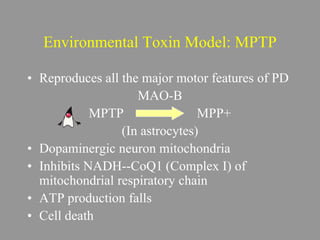 Environmental Toxin Model: MPTP
• Reproduces all the major motor features of PD
MAO-B
MPTP MPP+
(In astrocytes)
• Dopaminergic neuron mitochondria
• Inhibits NADH--CoQ1 (Complex I) of
mitochondrial respiratory chain
• ATP production falls
• Cell death
 