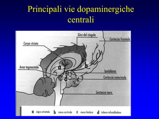 Principali vie dopaminergiche
centrali
 
