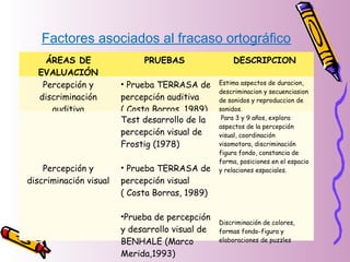 ÁREAS DE
EVALUACIÓN
PRUEBAS DESCRIPCION
Percepción y
discriminación
auditiva
• Prueba TERRASA de
percepción auditiva
( Costa Borras, 1989)
Estima aspectos de duracion,
descriminacion y secuenciasion
de sonidos y reproduccion de
sonidos.
Percepción y
discriminación visual
Test desarrollo de la
percepción visual de
Frostig (1978)
• Prueba TERRASA de
percepción visual
( Costa Borras, 1989)
•Prueba de percepción
y desarrollo visual de
BENHALE (Marco
Merida,1993)
Para 3 y 9 años, explora
aspectos de la percepción
visual, coordinación
visomotora, discriminación
figura fondo, constancia de
forma, posiciones en el espacio
y relaciones espaciales.
Discriminación de colores,
formas fondo-figura y
elaboraciones de puzzles
Factores asociados al fracaso ortográfico
 