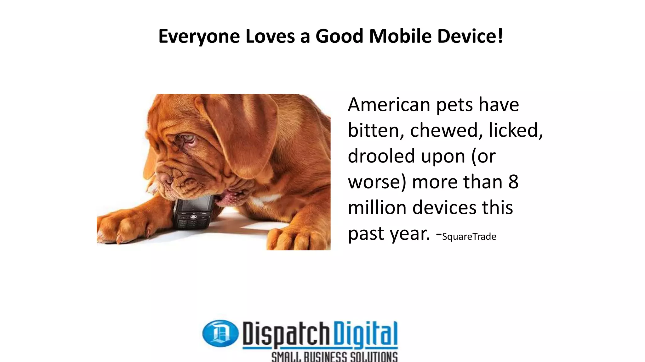 Everyone Loves a Good Mobile Device! 
American pets have 
bitten, chewed, licked, 
drooled upon (or 
worse) more than 8 
million devices this 
past year. -SquareTrade 
 