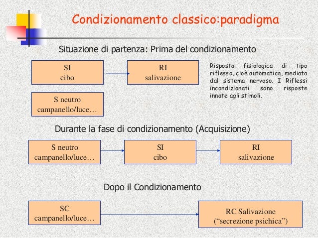 Differenza Tra Condizionamento Classico E Operante Dispense lezione 21 apprendimento-4 dicembre