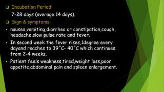  Incubation Period:
7-28 days (average 14 days).
 Sign & symptoms:
 nausea,vomiting,diarrhea or constipation,cough,
headache,slow pulse rate and fever.
 In second week the fever rises,1degree every
dayand reaches to 39˚C- 40˚C which continues
from 2-4 weeks.
 Patient feels weakness,tired,weight loss,poor
appetite,abdominal pain and spleen enlargement.
 