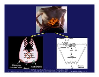 •

•
Del Valle et al. Text of Gastroenterology. Fourth edition 2003
http://journals.prous.com/journals/servlet/xmlxsl/pk_journals.xml_summary_pr?p_JournalId=4&p_RefId=561693&p_IsPs=N.

 