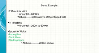 Some Example:
•P.Graminis tritici
• Horizontal---600Km
• Altitude-------500m above of the infected field
•P. Infestans
• Horizontal---200m to 600Km
•Spores of Molds
•Aspergillus
•Penicillium
•Cladosporium
• Altitude----------2000m above

 