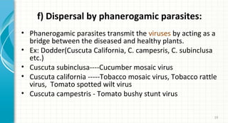 f) Dispersal by phanerogamic parasites:
• Phanerogamic parasites transmit the viruses by acting as a
bridge between the diseased and healthy plants.
• Ex: Dodder(Cuscuta California, C. campesris, C. subinclusa
etc.)
• Cuscuta subinclusa----Cucumber mosaic virus
• Cuscuta california -----Tobacco mosaic virus, Tobacco rattle
virus, Tomato spotted wilt virus
• Cuscuta campestris - Tomato bushy stunt virus
19

 