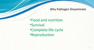 Why Pathogen Disseminate

•Food and nutrition
•Survival
•Complete life cycle
•Reproduction
6

 