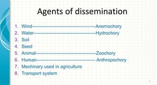 Agents of dissemination
1.
2.
3.
4.
5.
6.
7.
8.

Wind-----------------------------------------Anemochory
Water----------------------------------------Hydrochory
Soil
Seed
Animal---------------------------------------Zoochory
Human-------------------------------------- Anthropochory
Mechinary used in agriculture
Transport system
7

 